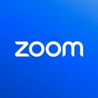 zoom版